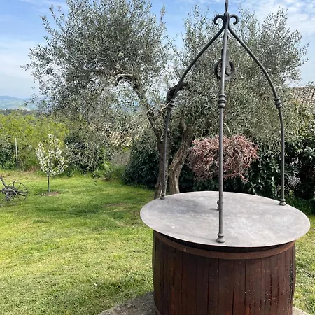 Belvedere * Sant'Angelo (Isola d'Ischia)