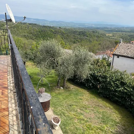Apartment Belvedere